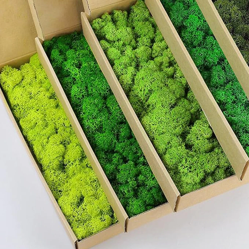 Terrarium Moss Art - 20-200g Sztuczne rośliny zielone Sztuczna trawa