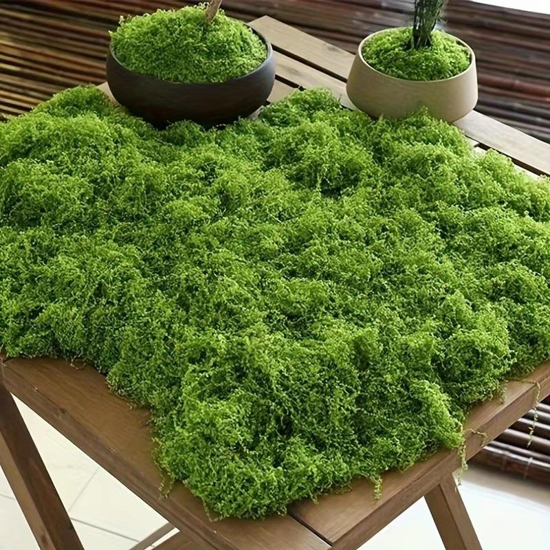50g Zielony Sztuczny Mech DIY  – Terrarium Moss Art recenzja i cena