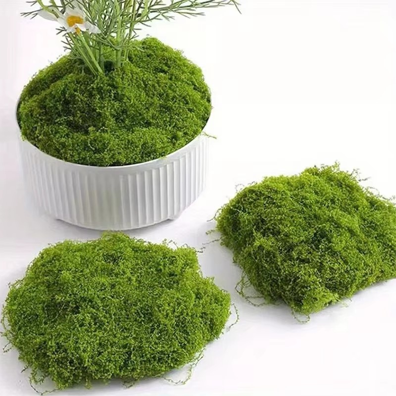50g Zielony Sztuczny Mech DIY  – Terrarium Moss Art recenzja i cena