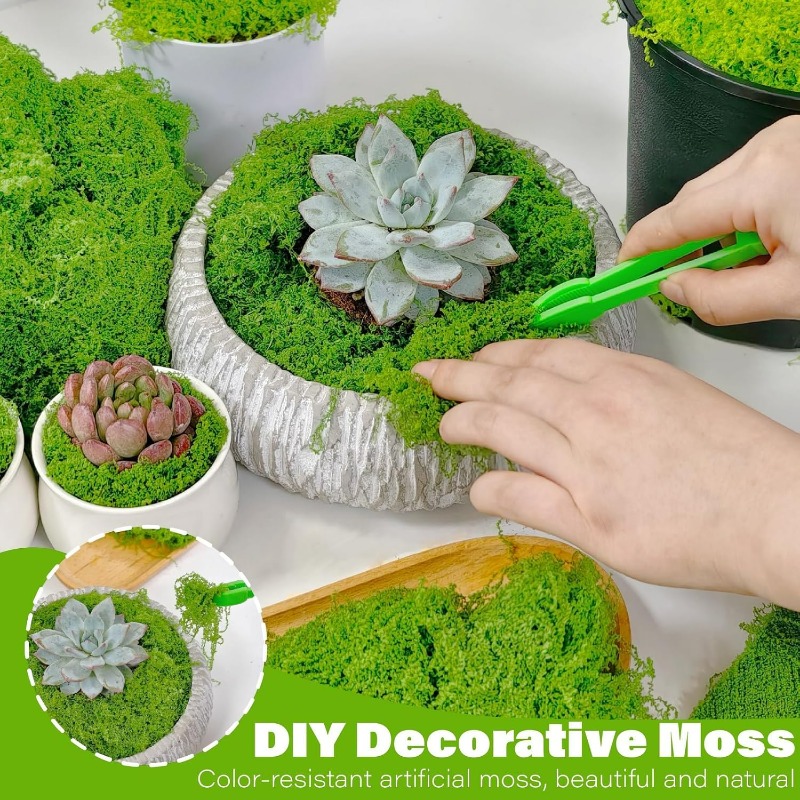 Sztuczne zielone rośliny, wiec – Terrarium Moss Art recenzja i cena